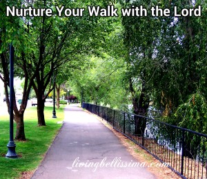 nurture your walk with the Lord photo