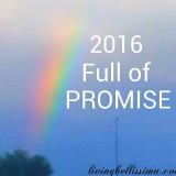 2016 Full of Promise