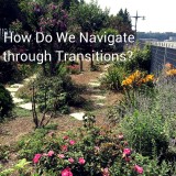 How Do We Navigate Through Transitions