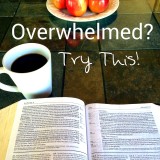 Overwhelmed?  Try this!