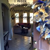 1 Week Whole House Organized Challenge